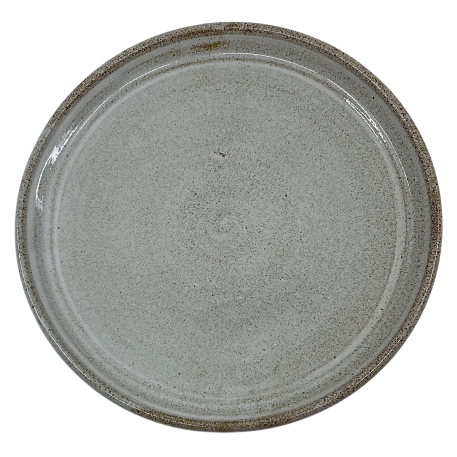 Large plate dinner plate