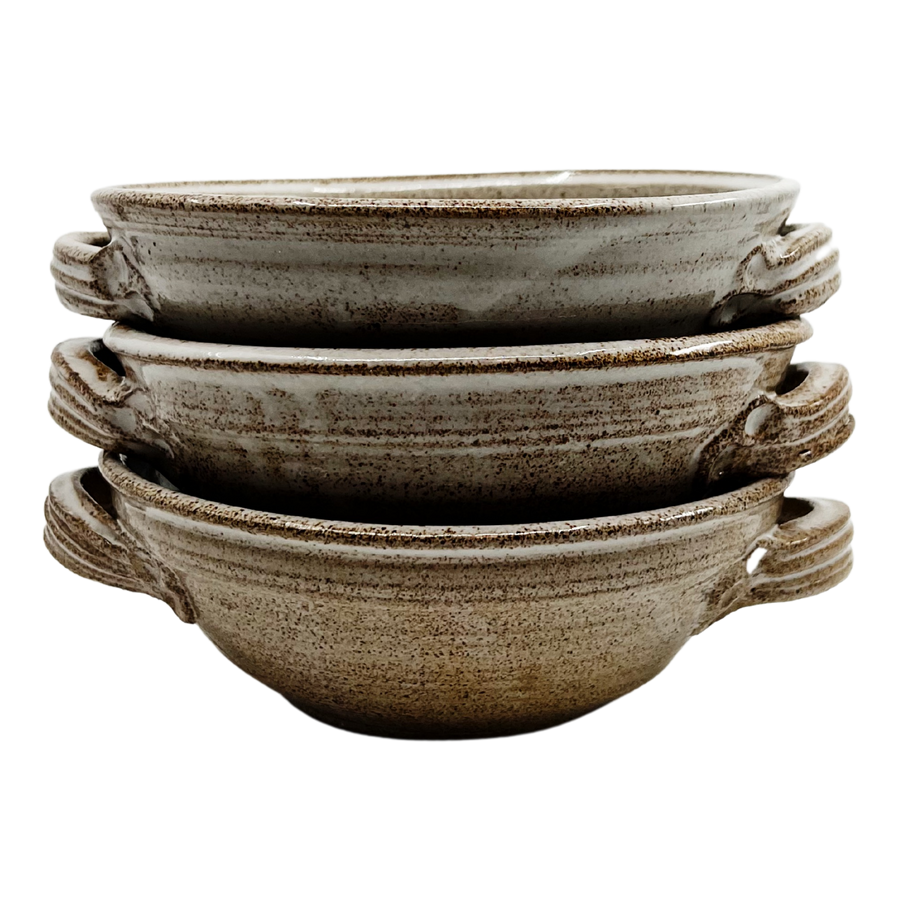 Multifunctional bowl with handles